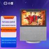 Xiaodu Smart Display X10