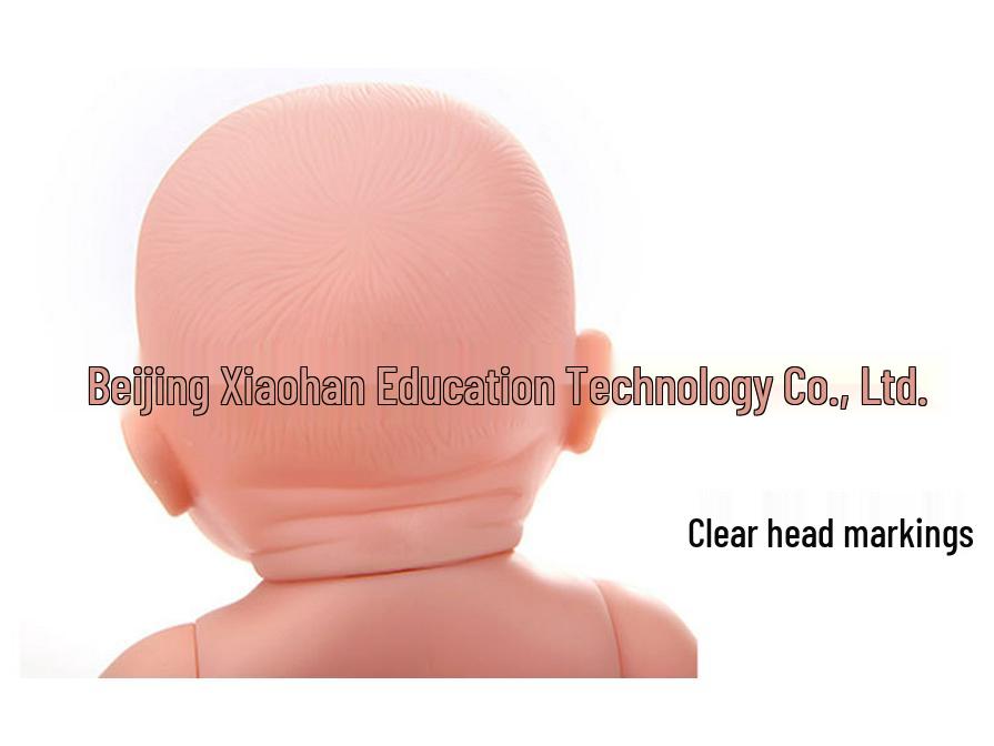 28cm Kindergarten Early Education Vinyl Doll - Nude Soft Rubber Little Princess