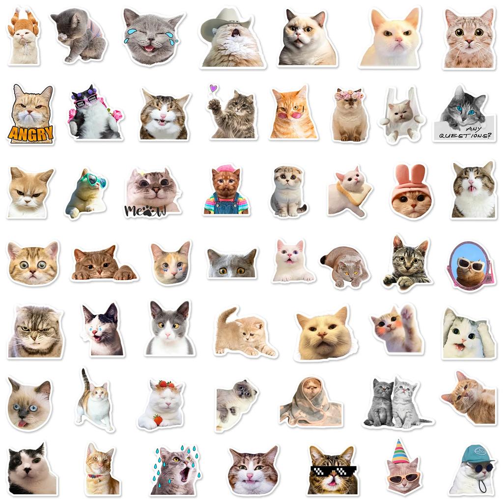 50 Stück Lustige und Trendige Katzen-Meme-Ausdrucks-Graffiti-Aufkleber - Perfekt zum Personalisieren von Gadgets und Zubehör