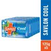 Savlon Cool Soap Combo Pack With Menthol And Glycerin 120gx5 For Refreshing Hydration And Everyday Bathing Protection Suitable For All Skin Types