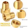 Frienda 1/4 Inch Male NPT X 1/4 Inch Female Inverted Flare Propane Fitting NPT Reducer Brass Female Pipe Adapter Brass Bushing Reducer Threaded Pipe