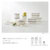 Takenaka Bento Box RETRO MODA Square Lunch Navy Upper 275ml Lower 275ml