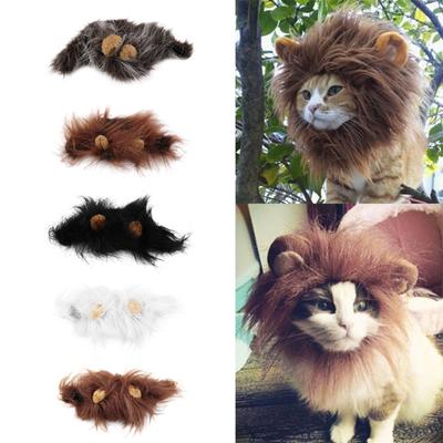 Katzen – Kleidung für Katzen