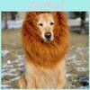 Lion Costume Pet Mane Wig For Dog Halloween Festival Dress Up Prop Fashion Gift