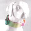 Gradient Color Explosion-Proof Tactical Dog Collar and Leash for Large Dogs