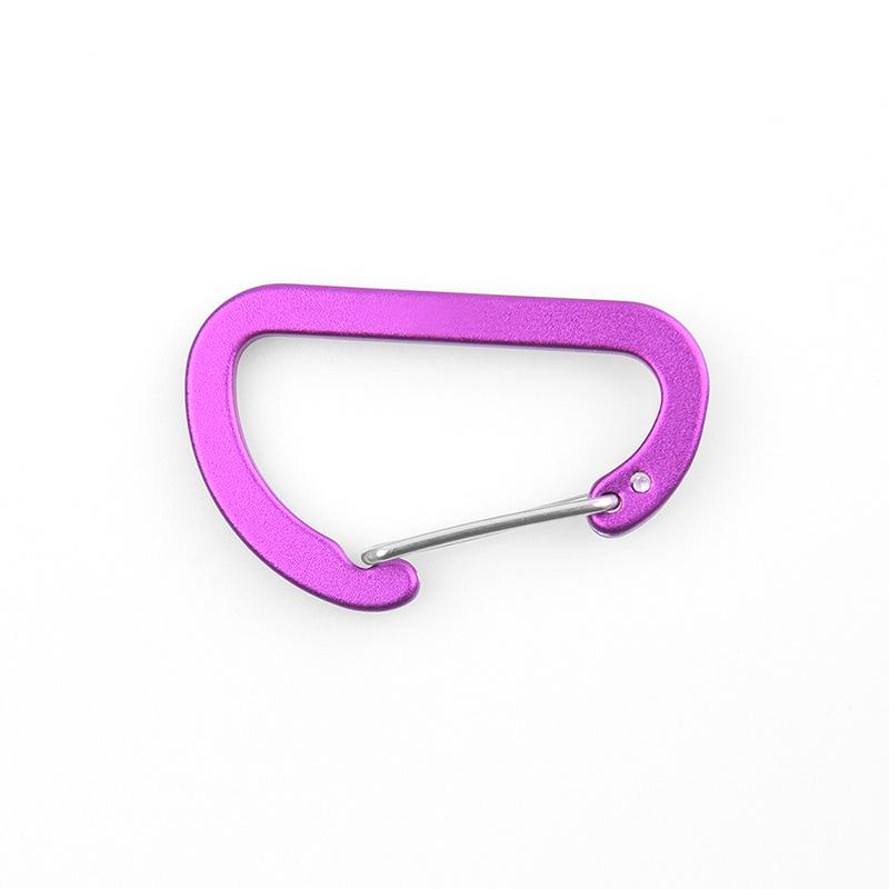 4D Aluminum Alloy Spring Snap Hook with Colored Steel Wire Buckle - D-Shaped Quick Release Outdoor Keychain