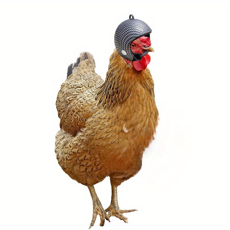 Helmet Chicken Pet Supplies Protection Chicken Hat Hamster Funny Headband Bird Toy Animal Headgear
