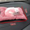 Bambuskohle Katze Auto Ornament mit Schmuckunterlage und Simulationskätzchen.