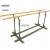 Langshuo Portable Indoor/Outdoor Parallel Bars