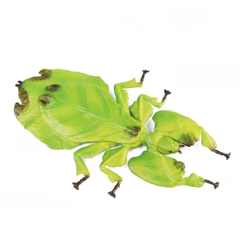 Insect Model Water Bug Toy With Plastic Material For Childrens Educational Play