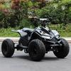 Automobile și motociclete – Pentru ATV-uri