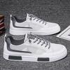 Summer Men's Shoes Breathable Mesh Shoes Canvas Shoes Male Students Trend Versatile White Shoes Platform Sports Casual Board Shoes Male