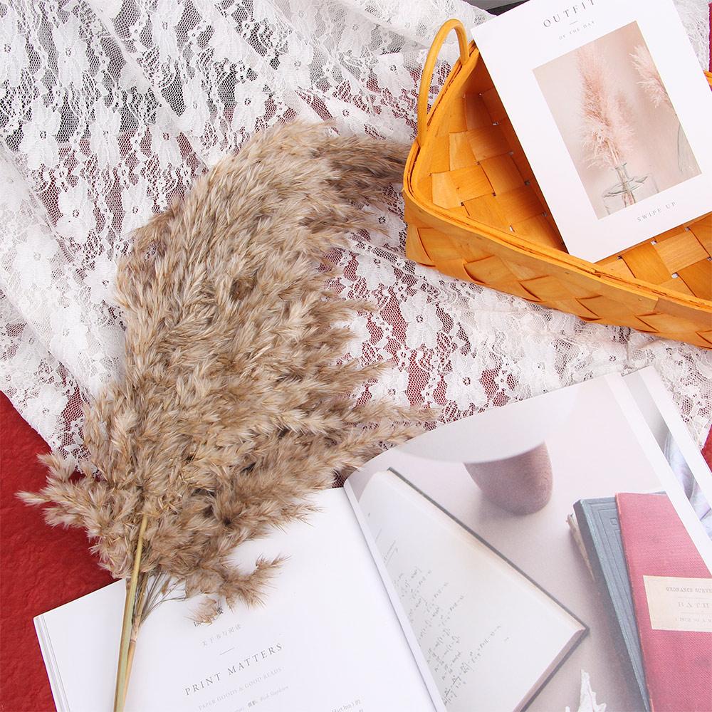 

20 шт., подарочные растения, праздник для свадьбы, букет цветов, сушеные цветы, пампасы, трава, домашний декор, фрагмиты