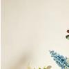 Butterfly Shaped Artificial Flower for Home Garden Wedding For Party Decoration PE Material 11 Cm or 11 Cm Size