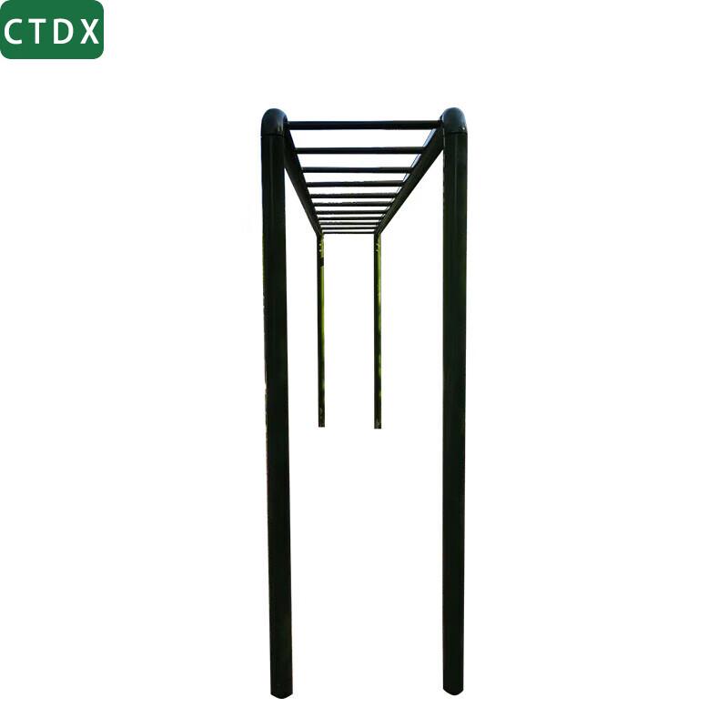 CTDX Horizontal Ladder Obstacle Course Equipment