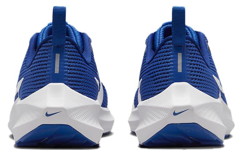 Nike Air Zoom Pegasus 40 GS 'Game Royal' DX2498-400