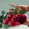 Portable Flower Stem Cut Remover Gardening Pliers Rose Thorn Remover  Bonsai Tool