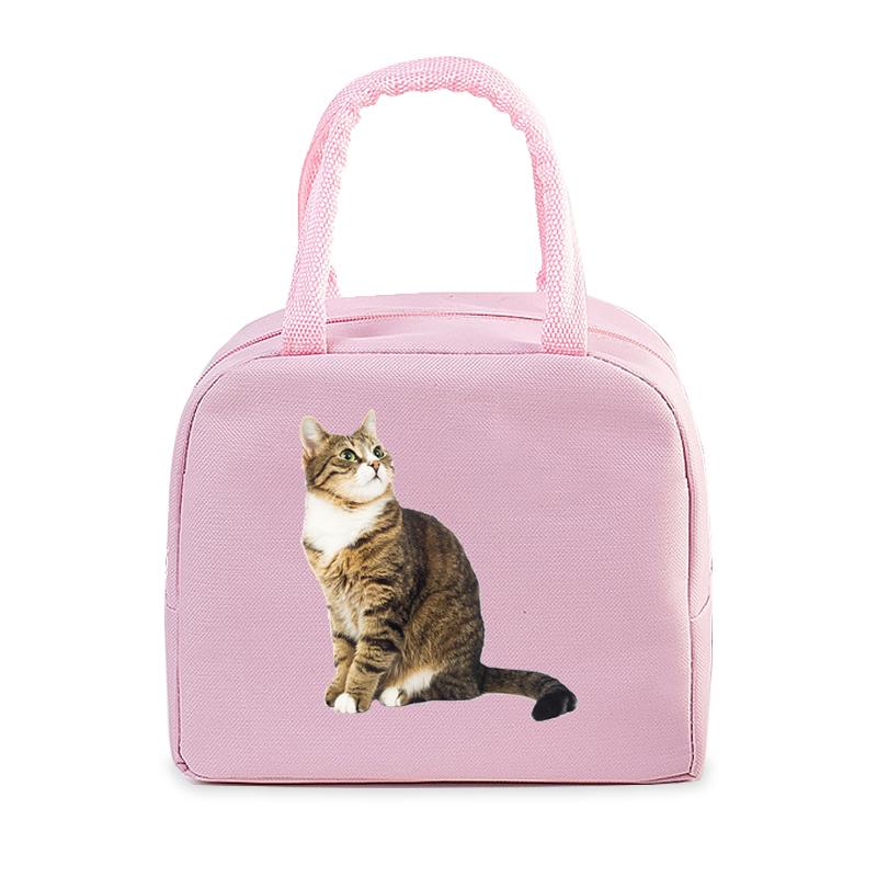 Funny 3D Cats Portable Lunch Bag Durable Office Women Men Thermal Box Cartoon Lunch Handbags Cooler Insulated Food Lunch Bags