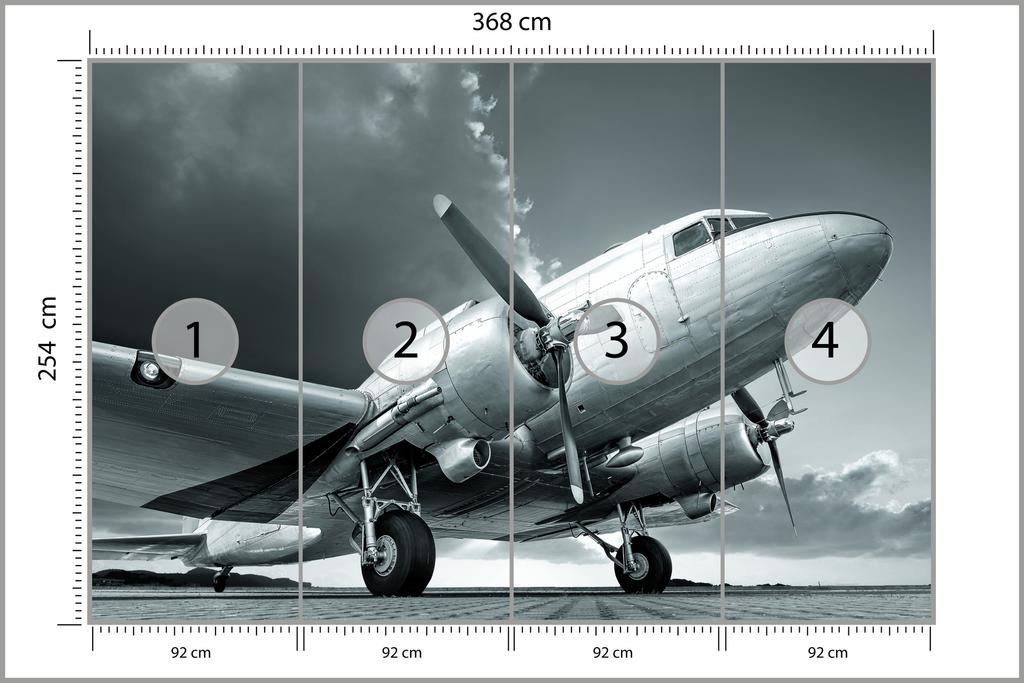 Photomural Propeller Airplane Smooth Vinyl 368x254