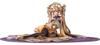 Myethos National Treasure Gold Cup Scale Painted Finished Figure 1/7 ABS&PVC