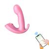Women's Silicone Suction Penis Anal Plug Three-in-one Vibrator, G-spot Stimulation Masturbator, Adult Sexy Sex Toys, Sex Toys
