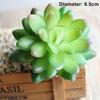 1Pc Small Artificial Succulents Fake Lotus Lithops Flower PVC Succulent Plants Wedding Party Home Floral Decoration