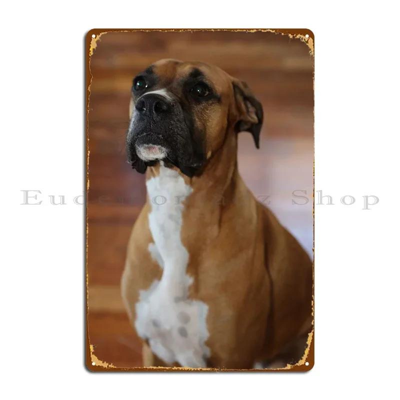 The Boxer Metal Sign PaintingClub Wall Mural Designs Mural Tin Sign Poster 20x30cm(7.8x11.8inch)