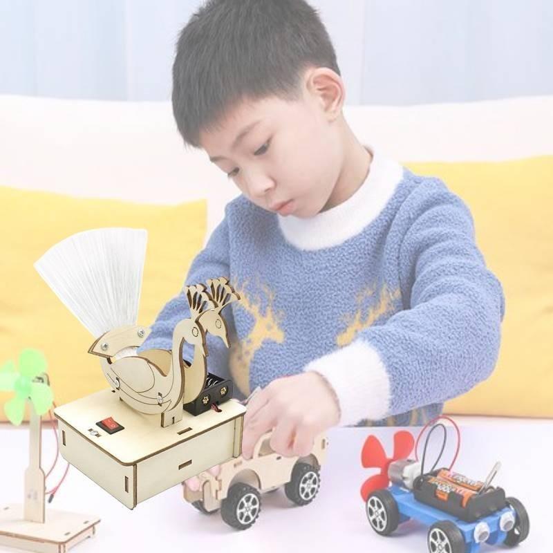Peacock Opening Diy Science Experiment Wooden Material Customizable Handmade Toy