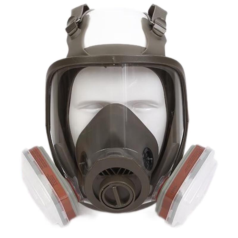 WEZHO 6800 Full Face Respirator Mask