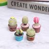 5Pcs Miniature Succulent Plant In Pot For Dollhouse Furniture Decoration Home