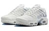 Nike Air Max Plus Ashen Slate Women's DZ3671-104