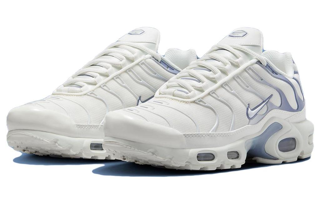 Nike Air Max Plus Ashen Slate Women's DZ3671-104
