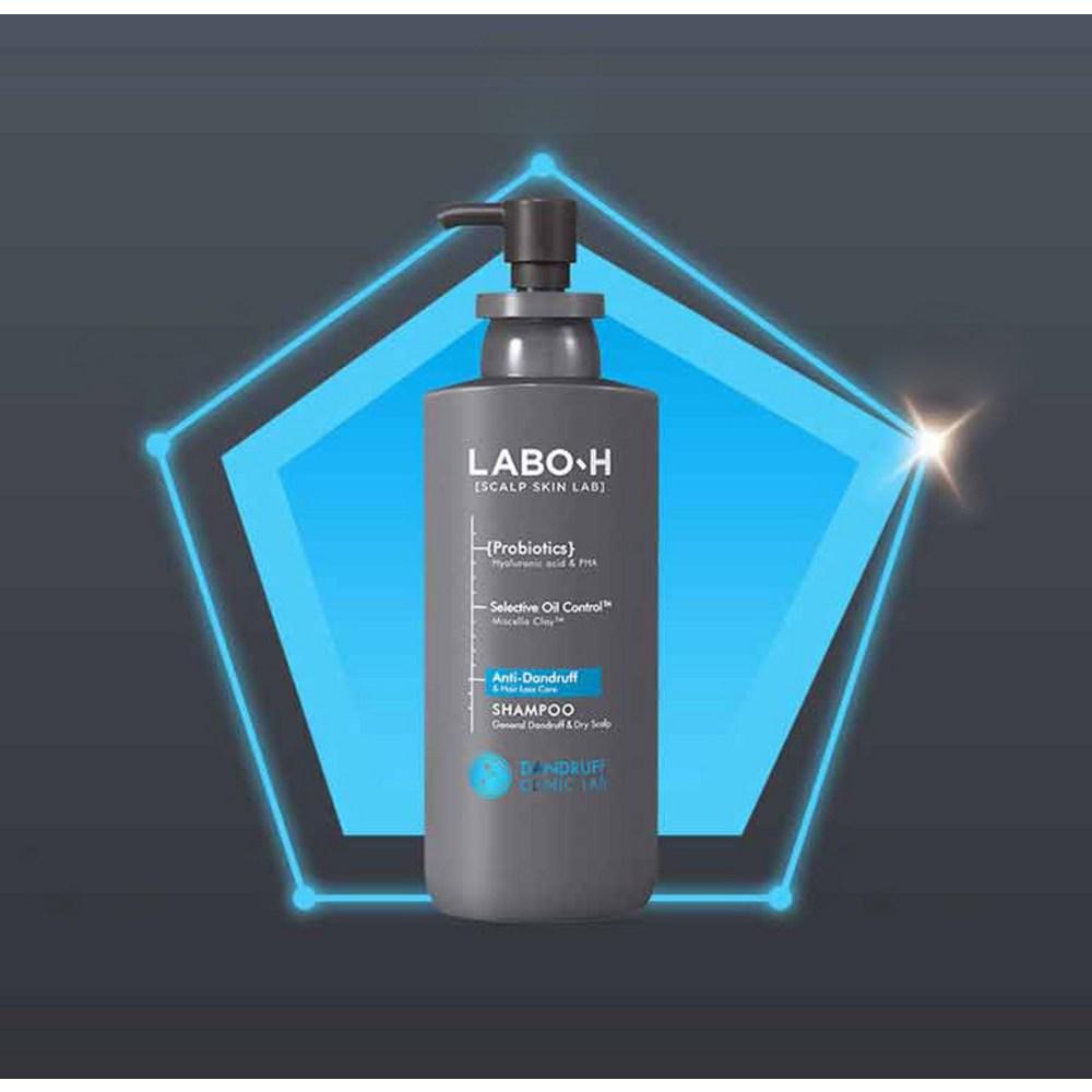 LaboH Dandruff Clinic Allgemeines Shampoo gegen trockene Schuppen, Grüntee-Minz-Geschmack, 400 ml, 2 Einheiten