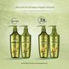 Schwarzkopf Ginger Essence Oil Control Shampoo