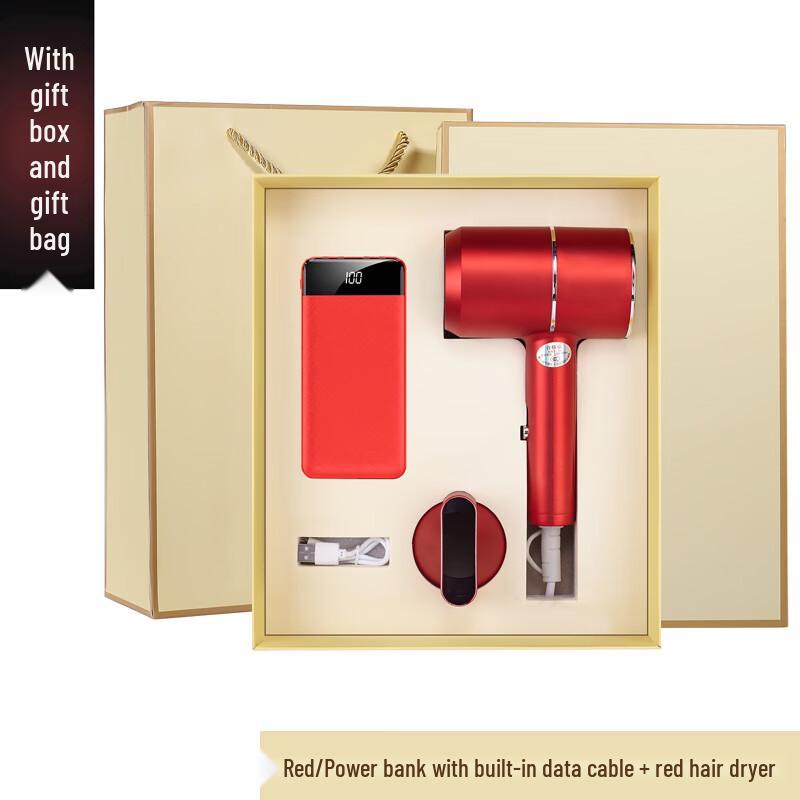Business Gift Set: Portable Hair Dryer & Power Bank