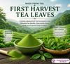 Otsuka Green Tea Co Bio Matcha Pulver JAS-zertifiziert Japanisch Inlands 100g Beutel Seit 1869