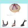 Katten – Kleding voor katten