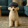 Dog Berets Fashion Pet Hat French Artist Cat Cap Dog Baseball Cap for Party Birthday Wedding Photo Puppy Beret Hat Pet Products