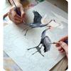 Paint By Numbers Kit Massido Cranes