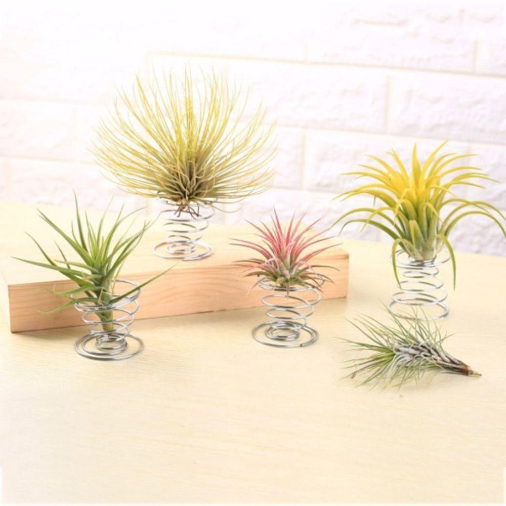 3Pcs/set Spring Wire Spring Base Holder Pineapple Base Spring Wire Egg Tray  Home Decor