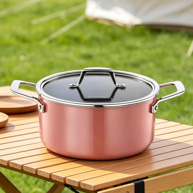 Deslon Enamel Cast Iron Dutch Oven