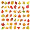 50 Pcs Nature Scenery Sticker Set for Journaling and Scrapbooking