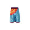 Nike Sports Shorts Men's Blue Moderate DJ3869-434