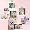 Yousheng Tierhaarfarbe Temporär Ungiftig Hundehaarfarbe 100ml Waschbar Helle Farben Sichere Tierhaarfarbe für Hunde Katzen
