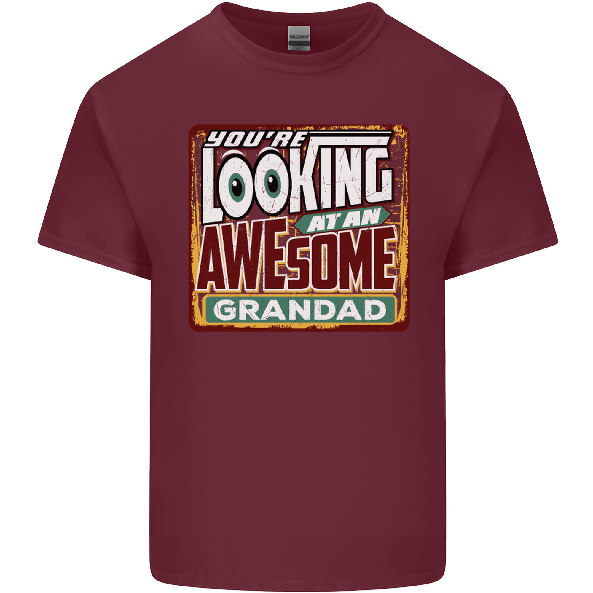 Youre Looking at an Awesome Grandad Unisexs Light Cotton TShirt S