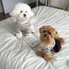 Pet Supplies Cute Pet Striped Short Sleeve Breathable Thin Design Pet Skirt Soft Dog Vest Summer