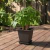 Retro Style Planter Pots Square Resin Planter, 10 Inch Large Plant Pot with Drainage Hole, Modern Saucer Decorative Garden for Indoor Outdoor Plants,