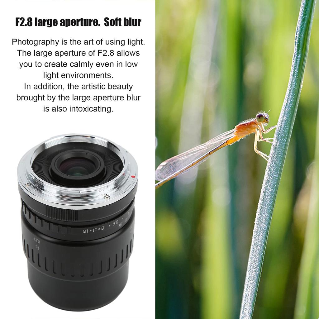 40mm APS C Macro 1X Large Manual Focus for Nikon Z Mount Cameras F2.8 Lens, Magnification, F2.8 Aperture, (ZFC, Z6, Z7, Z50, Z5, Z6II, Z7II, etc.)