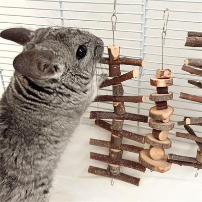 Hamster Chew Toy, Rodents Molar Snacks Natural Molar Sticks Toy for Rabbit Gerbils Rodents Small Size Hamster
