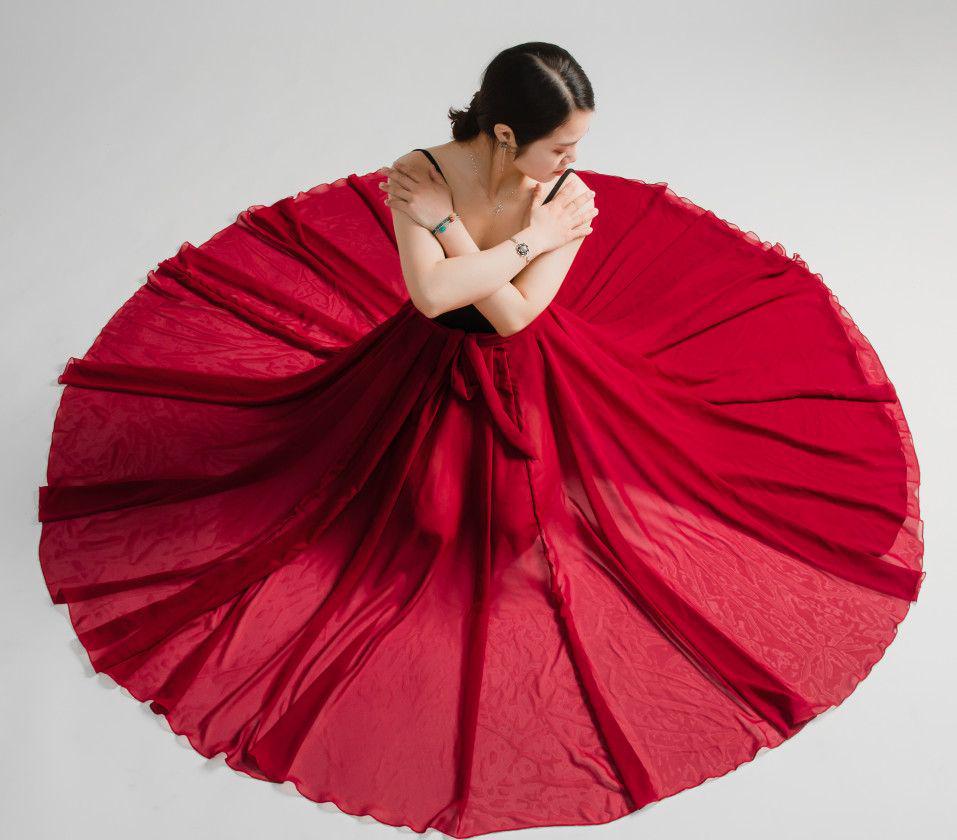 Modern Ballet & Dance Chiffon Tulle Skirt for Women
